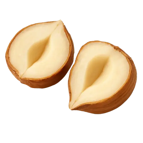 noisettes