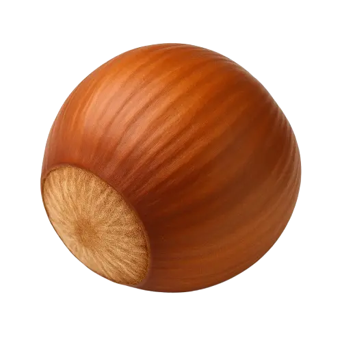noisette